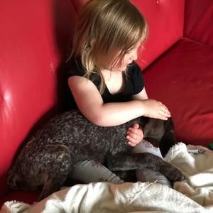 Meet your Posher, Alex